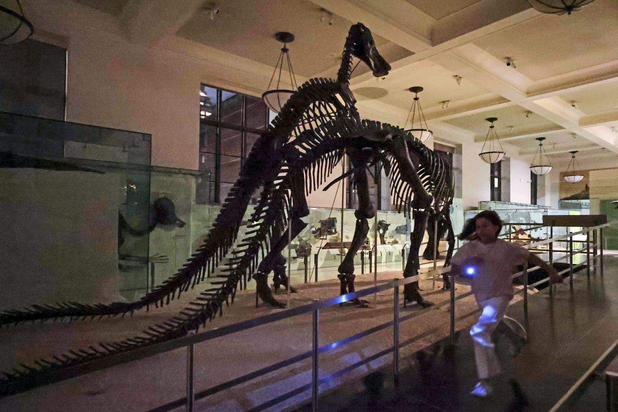 'A Night at the Museum' at the American Museum of Natural History on October 24, 2025 in New York City. 
