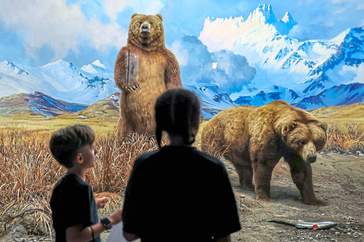 Children participate in a flashlight tour.