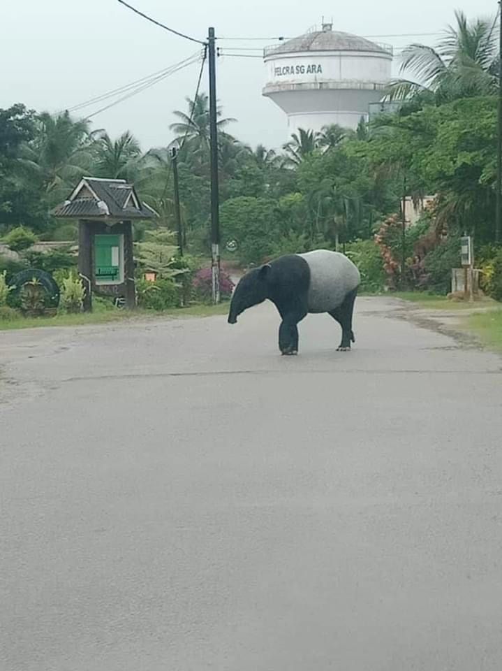 Sorry! Image not available at this time