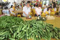 Temple serves 6,000 free vegetarian meals daily