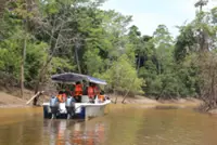 Sungai Pin conservation area home to 28 protected bird species