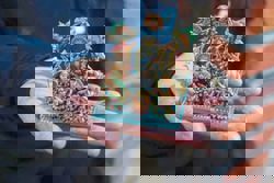 Mexican artisans turn clay into Trees of Life that are celebrated worldwide