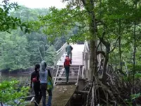 Brunei strengthens wetland conservation efforts through regional Ramsar workshop