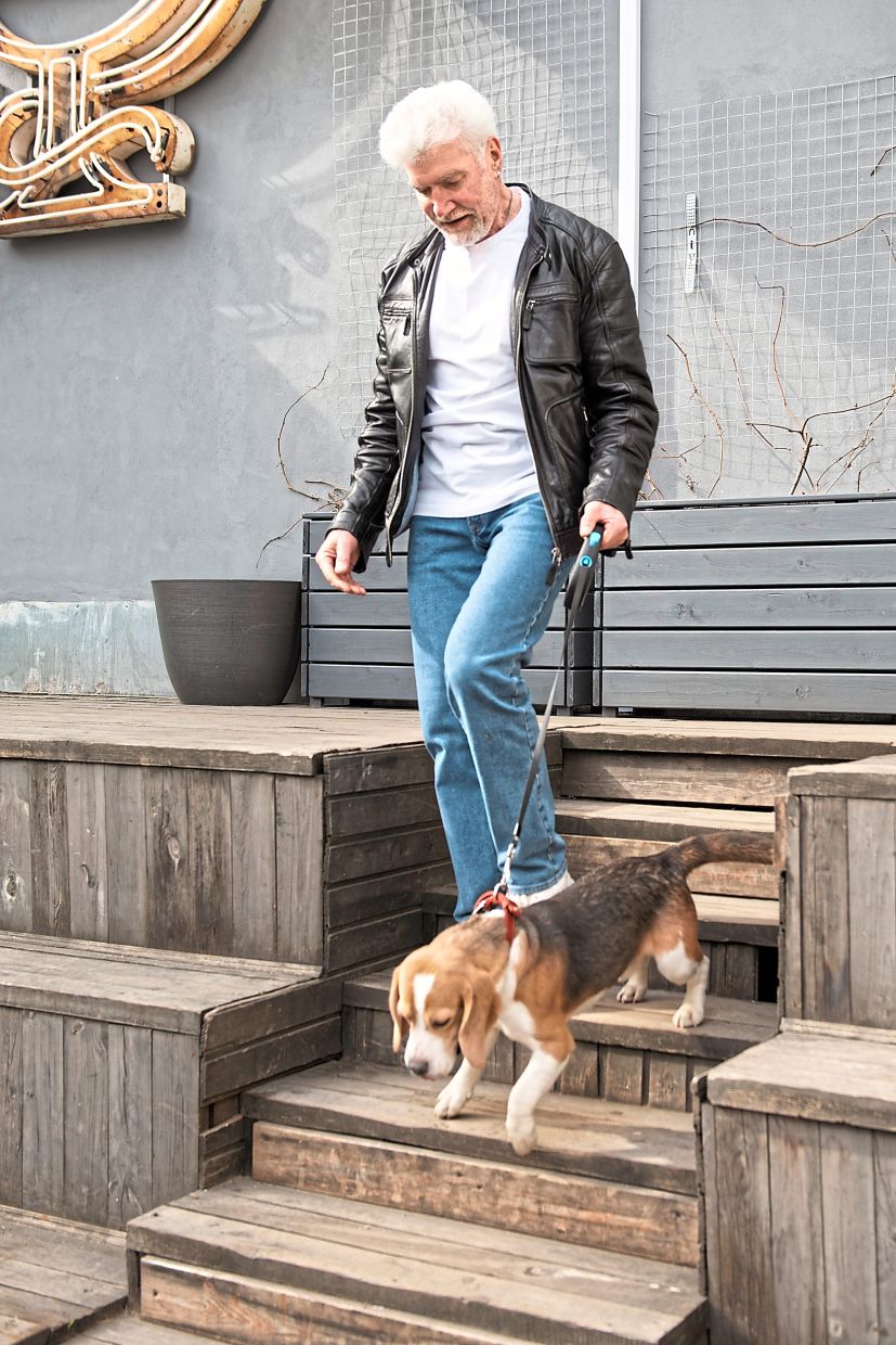 Teaching dogs offers an opportunity to get yourself active and involved with your pet.