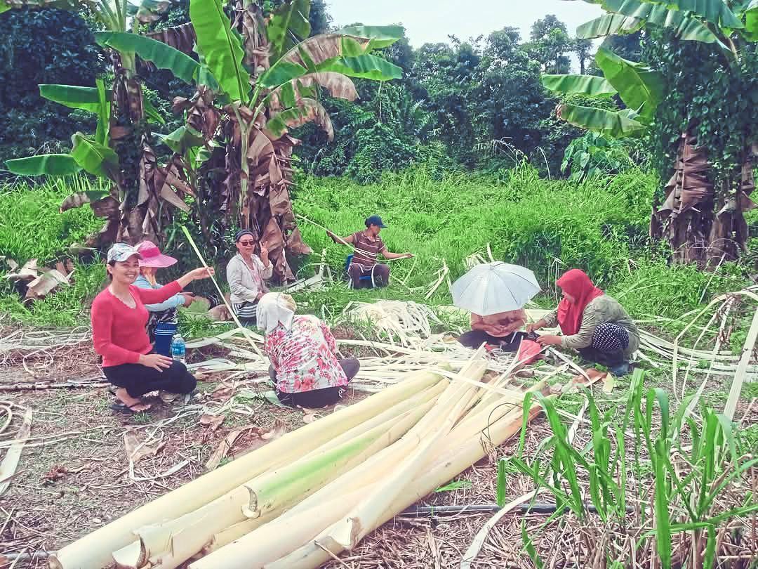 Women in Kota Marudu process banana fibre strips.