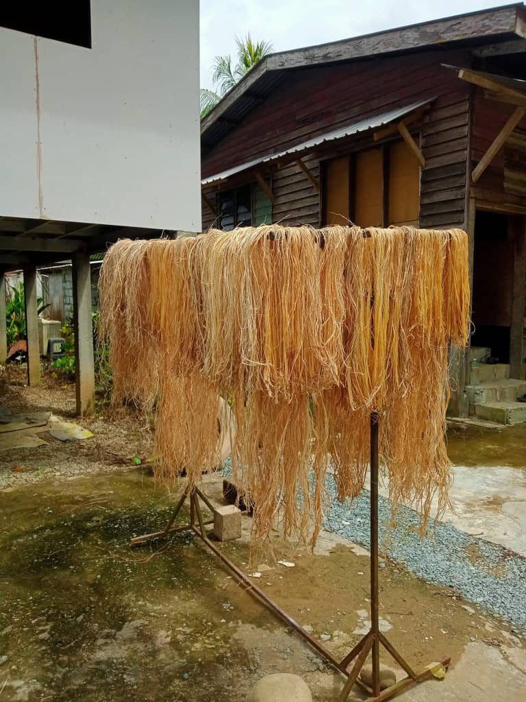 Strands of banana trunk fibre are hung out to dry naturally.