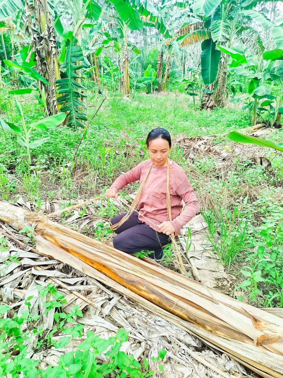Hanisa turns discarded banana trunks into eco-friendly crafts, giving new life to agricultural waste in her village in Kota Marudu, Sabah.