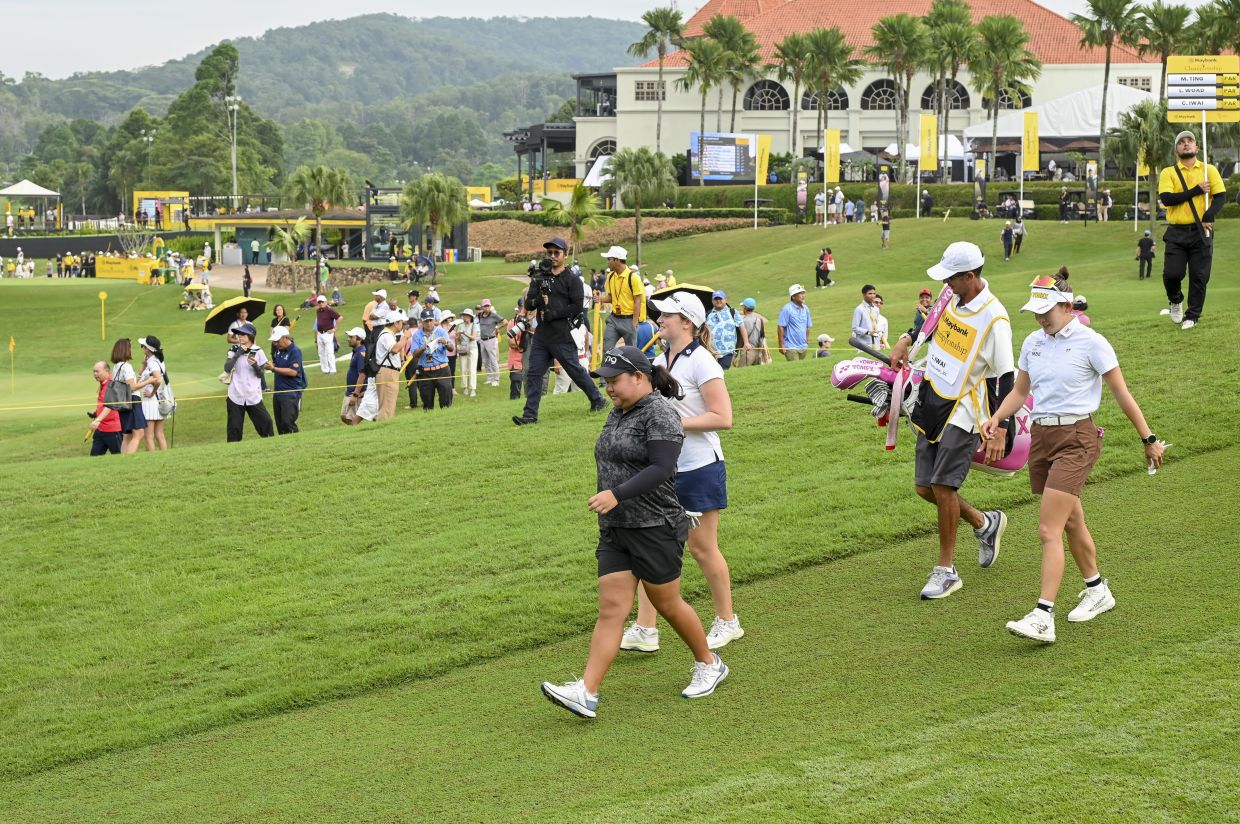 Sorry! Image not available at this time