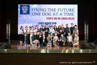 Penang NGO to set up CARE shelter for stray animals