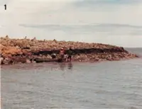 QuickCheck: Does Malaysia have a ghost island?