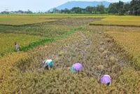 We need to fix our food to avoid 15 million deaths a year and climate disaster