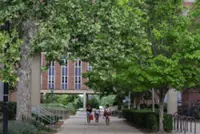 Their professors caught them cheating. They used AI to apologise.