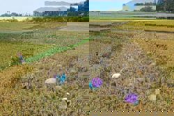 We need to fix our food to avoid 15 million deaths a year and climate disaster