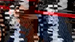 Phony Hollywood producer gets 146 years for two overdose murders, multiple rapes