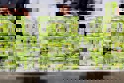 Thailand seizes 2mil herbal inhalers worth over 120 million baht from illegal factories