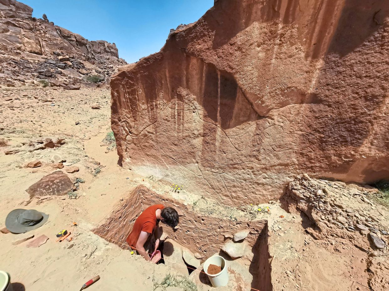 Sorry! Image not available at this time