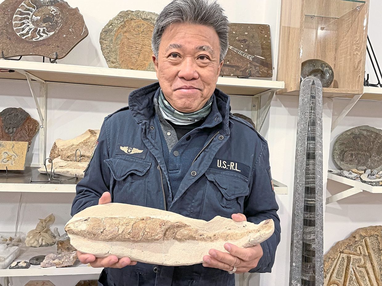 A well preserved fossil fish, dating back to hundreds of million years ago, at a shop in Erfoud.