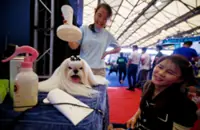 Who’s hiring in China? Pet care and advanced manufacturing stand out