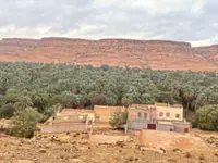 Hunting for fossils in the Moroccan desert
