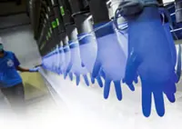 Can glove makers sustain the upper hand?