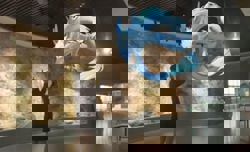 Ningxia launches China's first MR archaeological adventure