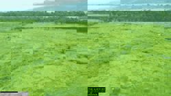 Four years after cutting down 105 hectares of forest, Nepal’s Sagarmatha Airport lies abandoned