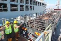 Johor aims to produce three million litres of fresh milk