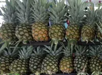 Pineapple exports surge over 100% in six months, says Mohamad Sabu
