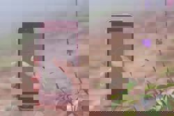 Border line marking W.Sahara vanishes for Google Maps users in Morocco