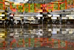 Plantations, technology, telco sectors attract RM246.6mil inflows last week