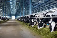 Vietnam livestock sector in digital transformation
