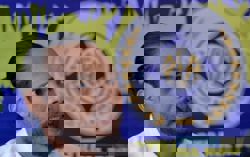 Safee urges accountability after FIFA dismisses FAM appeal