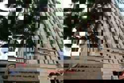 Tanco short-selling halted after 15% drop in share price