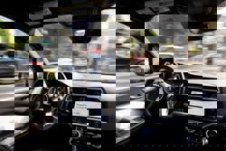 San Francisco mourns cat killed by Waymo self-driving car