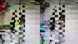 QuickCheck: Did a viral video show an elderly woman being mugged in Kota Baru?