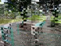 All upgrade works at Bandar Utama’s Central Park temporarily suspended