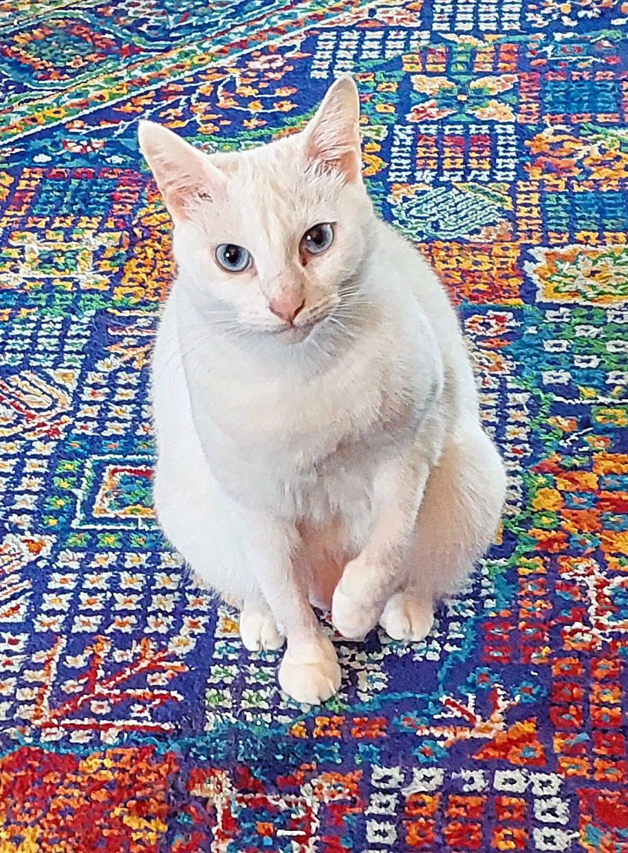 Tic Tac disapproves of clock changes.