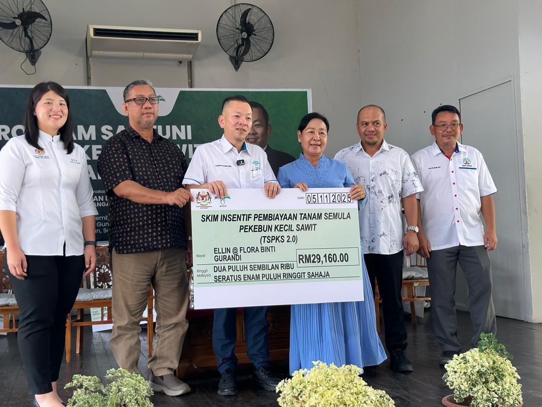 Sabah gets RM61mil for oil palm replanting, biggest allocation nationwide 1 3607076