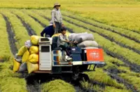 Hanoi’s strategy to modernise agriculture