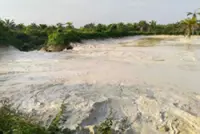 Seven police reports lodged over Sg Johor pollution