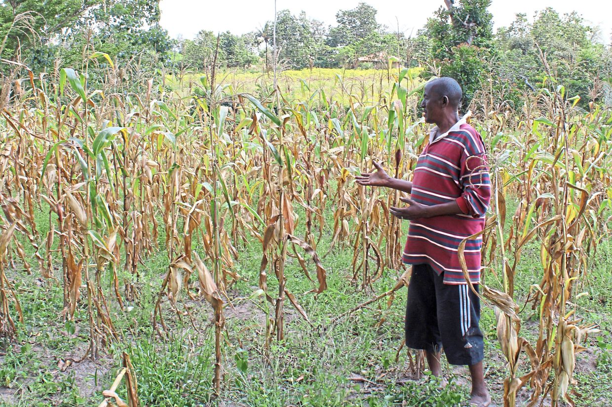 Anderson Kalama stands in his farm.