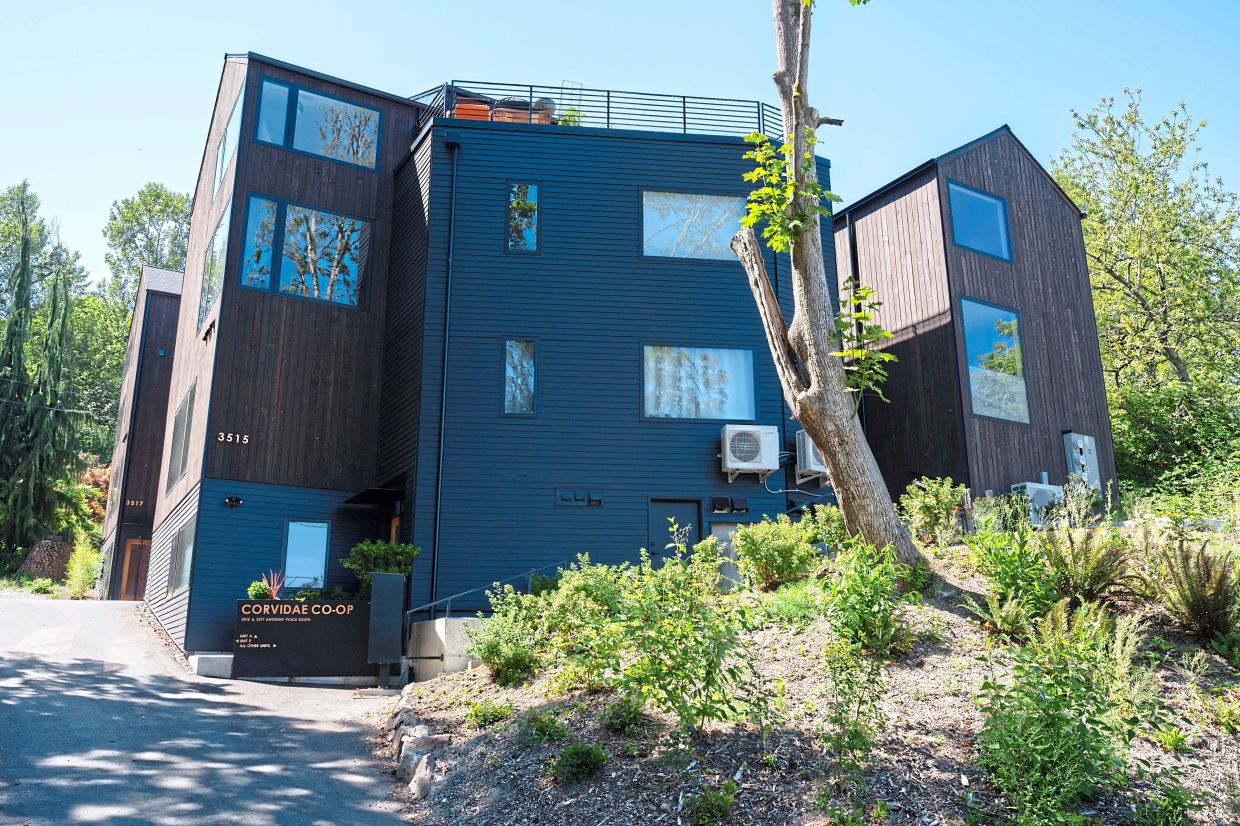 Triangles, crescents, slivers: Can odd-shaped lots help ease US housing crisis?