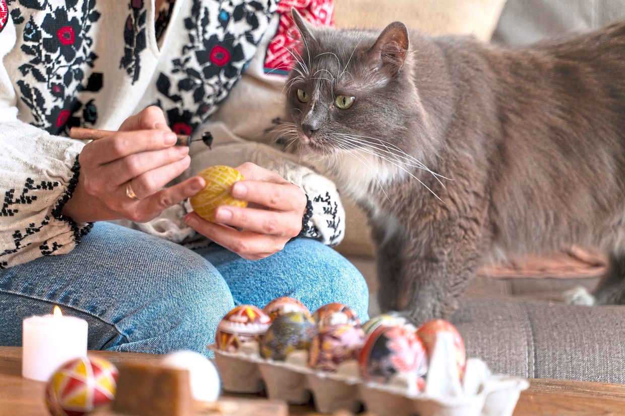 Candles, incense, cleaning products and perfumes generate an assortment of potentially hazardous compounds for pets.