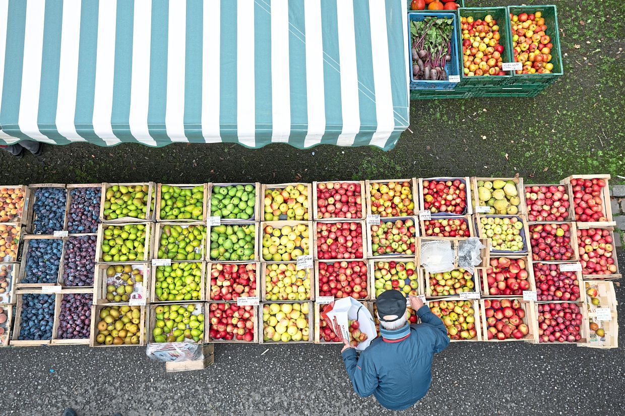 8 tips for going plant-based later in life