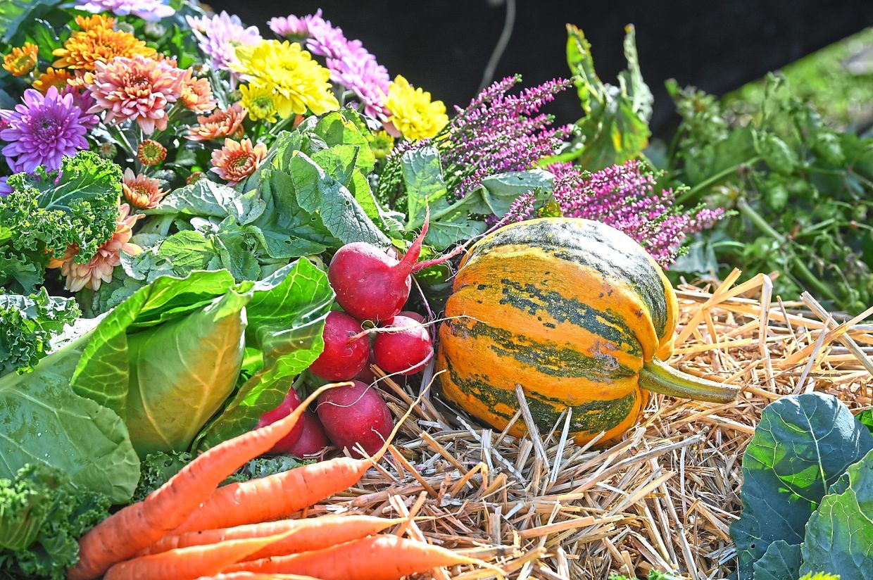 If you are thinking of going vegan, planning is key. — HEIKO REBSCH/dpa 