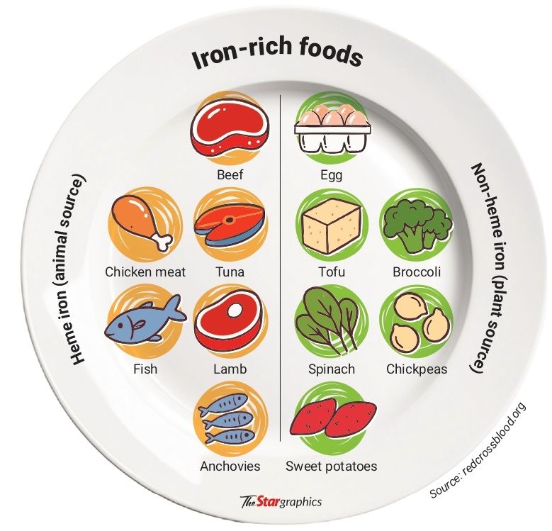Parents should introduce iron-rich food to their young children. Photo: TheStargraphics