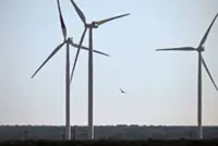Saving birds from wind turbines