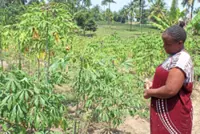 Searching for links between a changing climate and mental health in Kenya