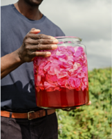 Acclaimed restaurant Noma wants you to bring a bit of it home with you