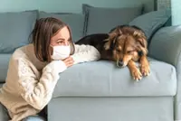 How to protect your pets from air pollution